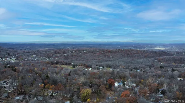a view of a big yard with lots of bushes