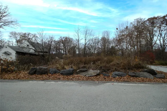 a view of a dry yard with trees