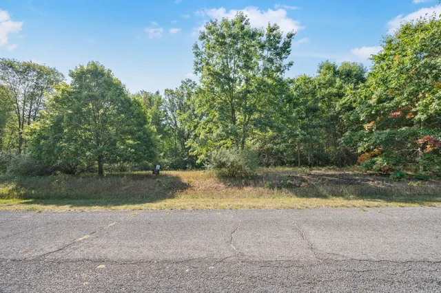 $21,500 | Lot 10 University Club Drive, Big Rapids, MI 49307