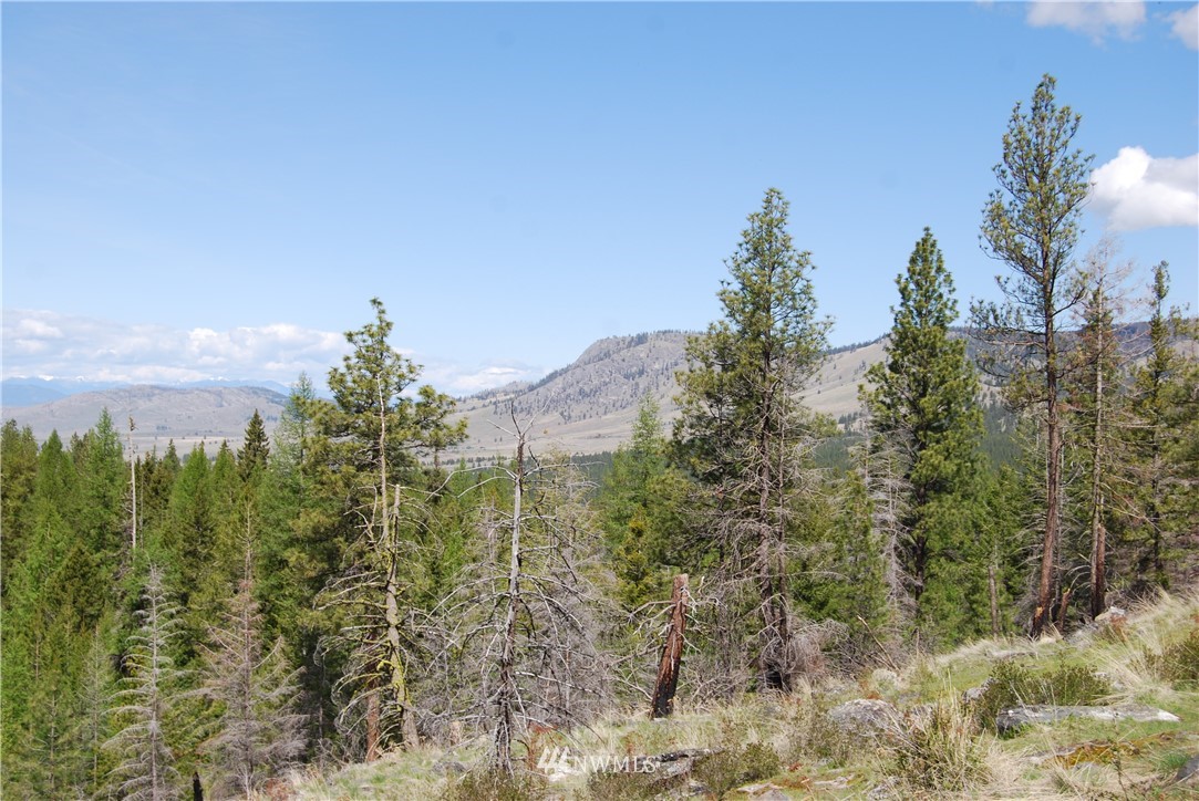 0 Stagecoach Trail Riverside, WA 98849 - Photo 1 of 9 Gallery Image 1