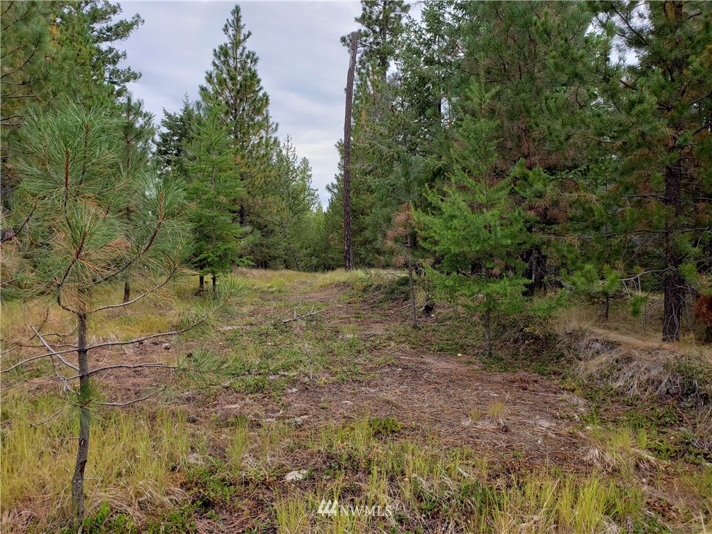 0 Stagecoach Trail Riverside, WA 98849 - Photo 2 of 9 Gallery Image 2