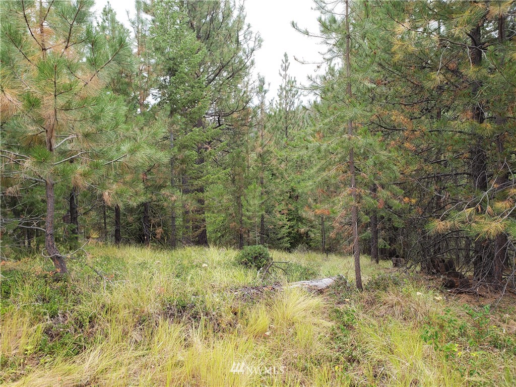 0 Stagecoach Trail Riverside, WA 98849 - Photo 3 of 9 Gallery Image 3