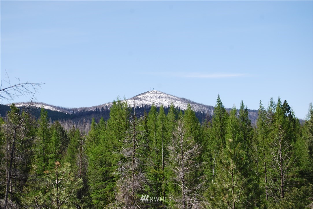 0 Stagecoach Trail Riverside, WA 98849 - Photo 7 of 9 Gallery Image 7