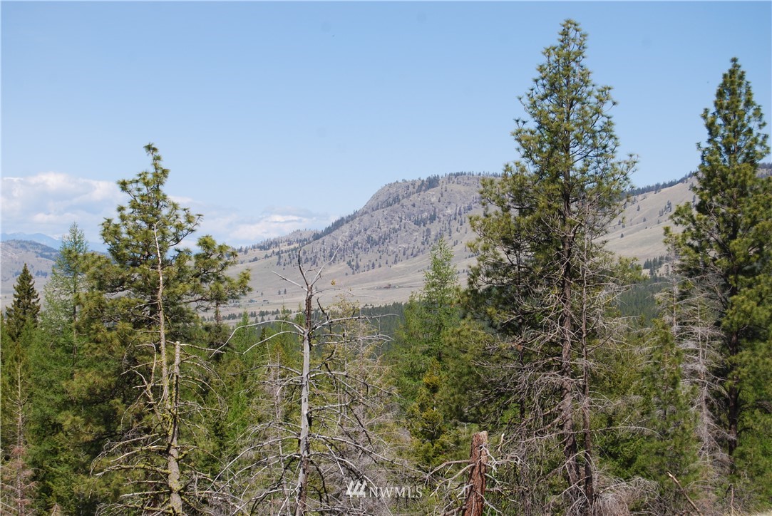 0 Stagecoach Trail Riverside, WA 98849 - Photo 9 of 9 Gallery Image 9