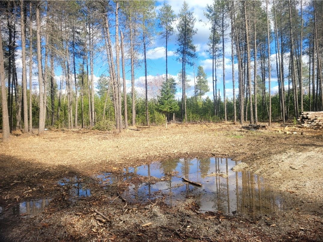 12351 East Bridges Road Elk, WA 99009 - Photo 5 of 7