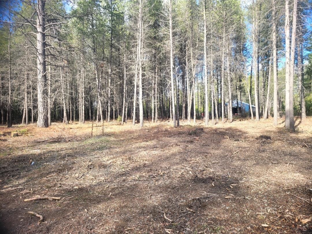 12351 East Bridges Road Elk, WA 99009 - Photo 6 of 7