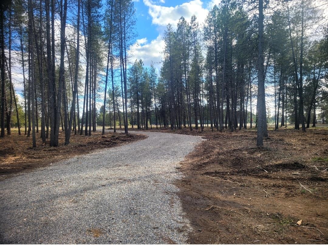 12351 East Bridges Road Elk, WA 99009 - Photo 7 of 7