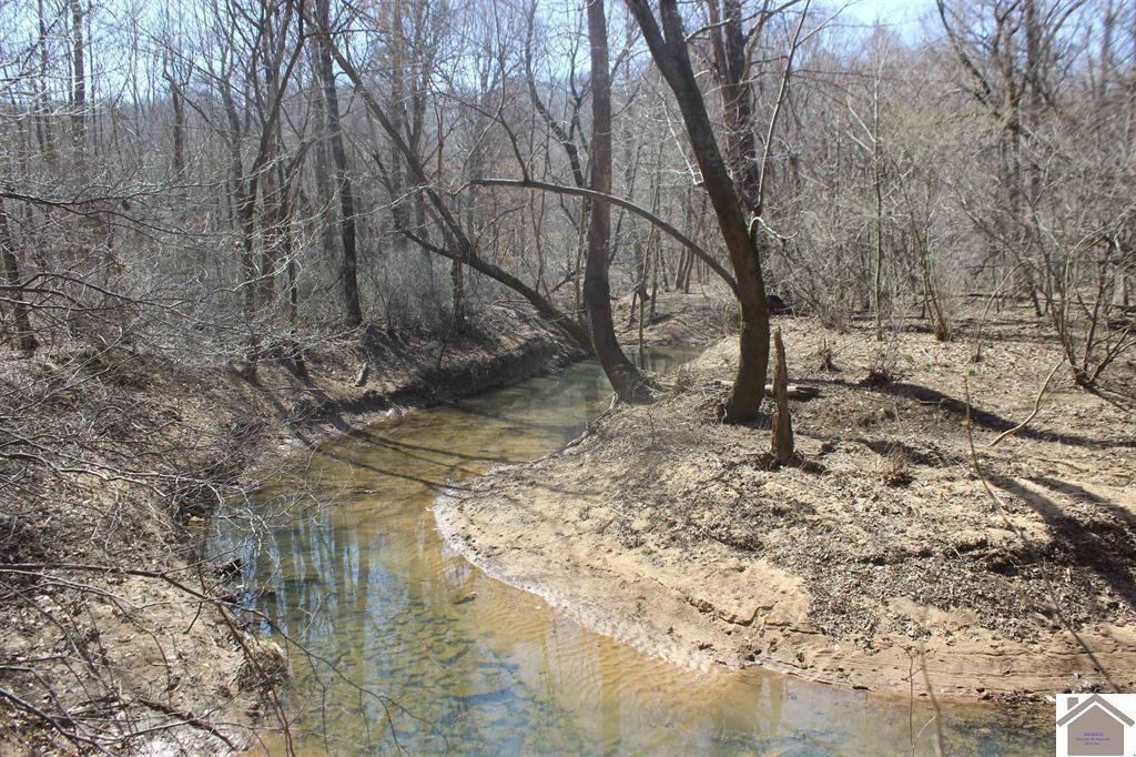 0 River Road Smithland, KY 42081 - Photo 9 of 13 Photo 9