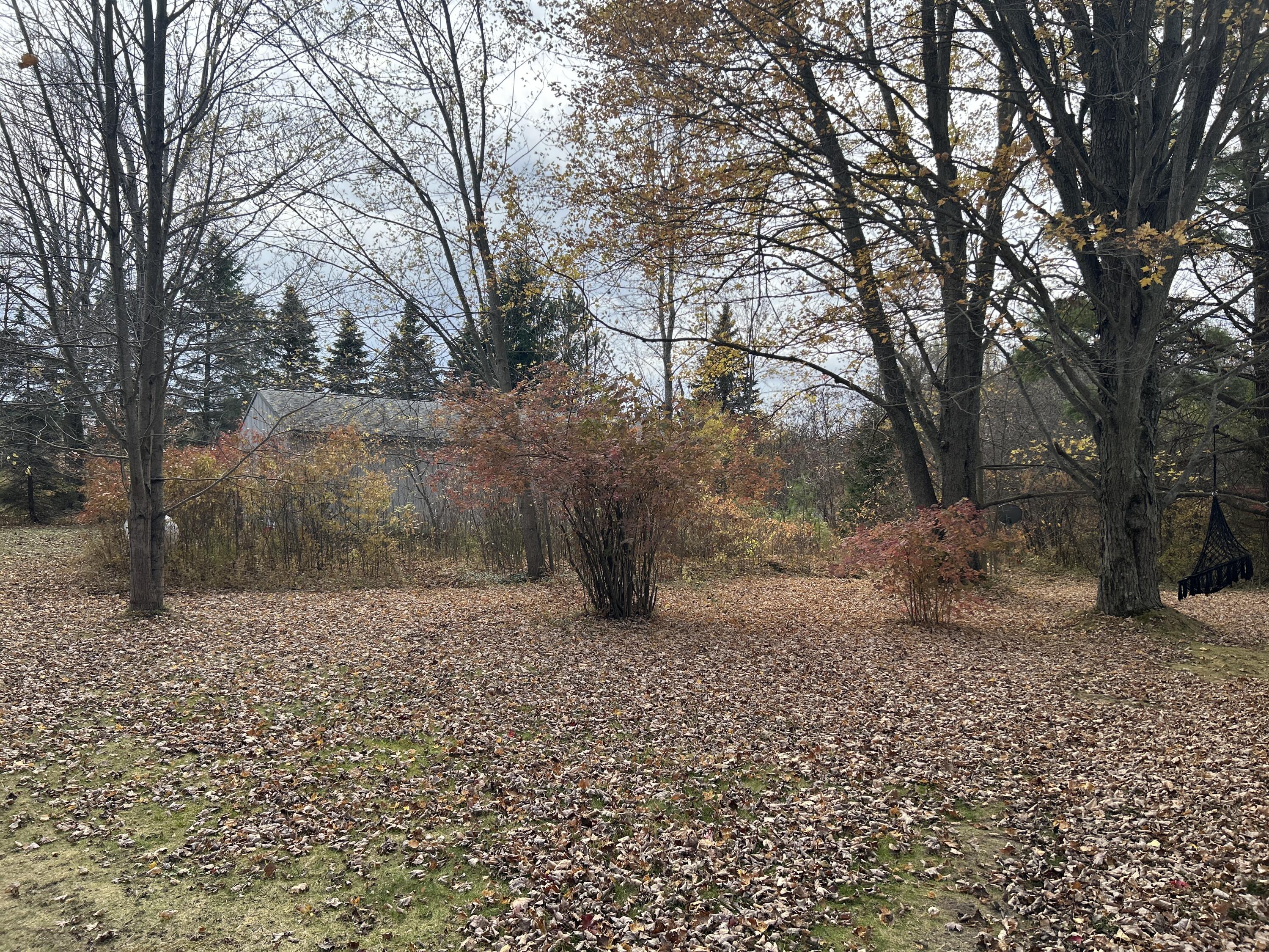4585 Lorenson Road Muskegon, MI 49445 - Photo 8 of 30 Side Yard