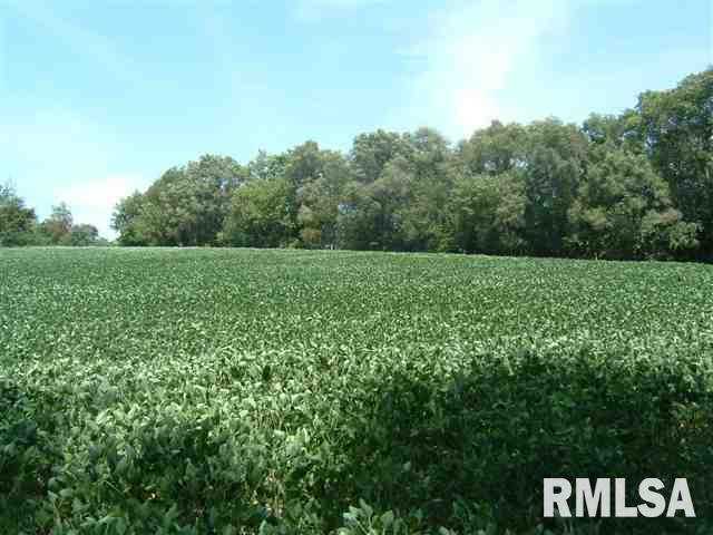 3910 Telegraph Road Davenport, IA 52804 - Photo 3 of 5 Gallery Image 3
