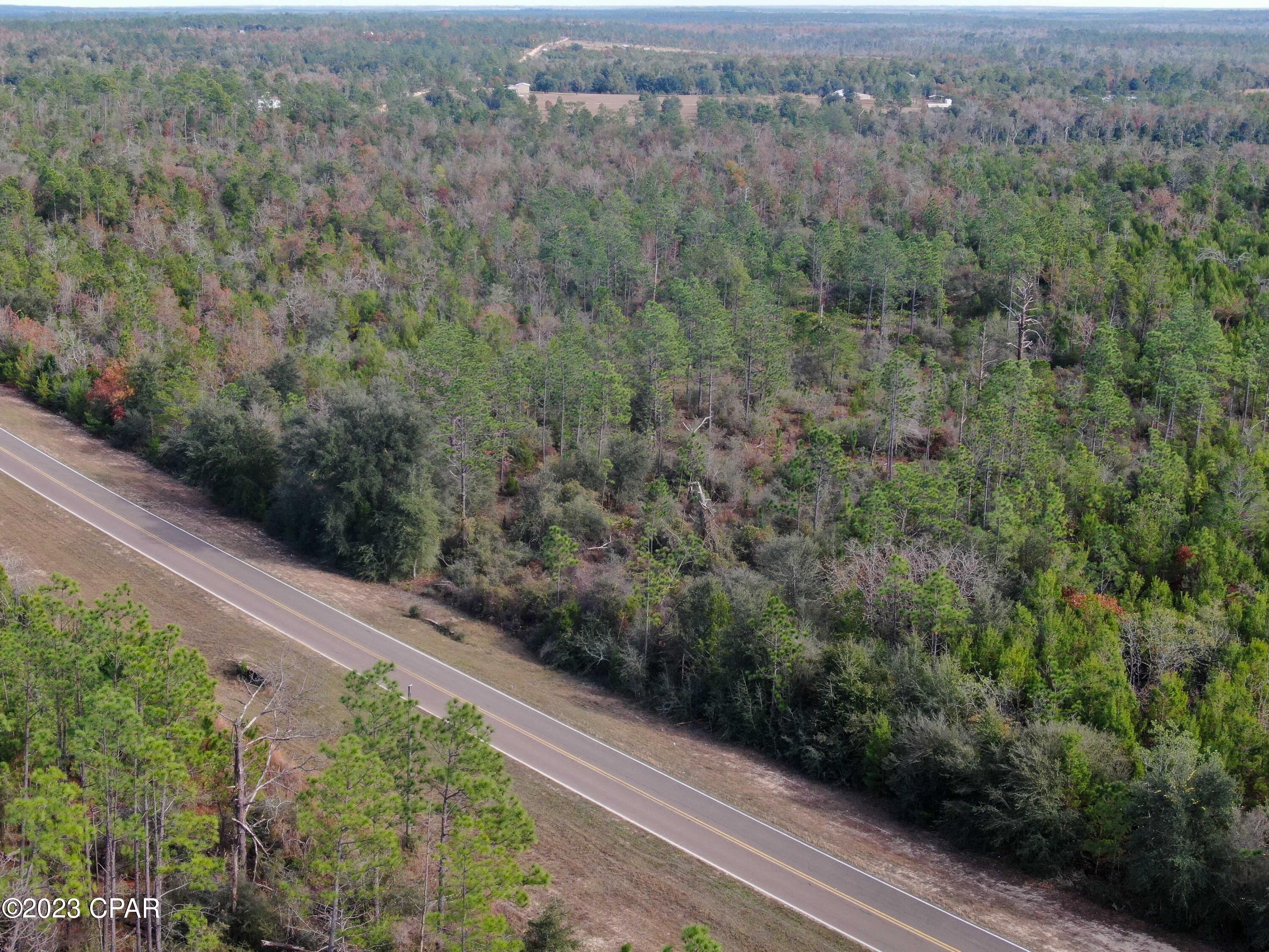 0 Co Road Marianna, FL 32448 - Photo 10 of 29 Gallery Image 10