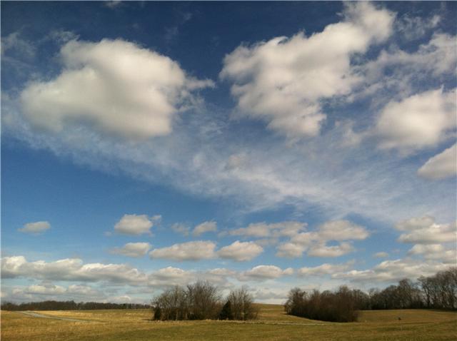 8317 Guthrie Road Cross Plains, TN 37049 - Photo 18 of 20 Situated atop one of the highest points in the county. Big sky is prevalent both day and night. On cloudy days, feel as if you are walking in the clouds. Stargazing is a requirement with clearly visible constellations at night.