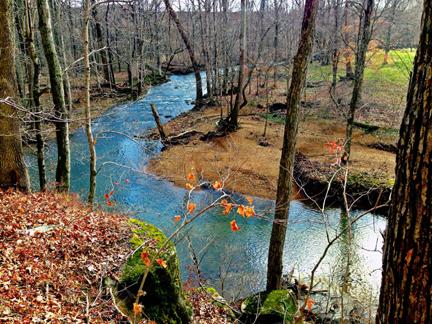 8317 Guthrie Road Cross Plains, TN 37049 - Photo 20 of 20 Blackwater Farm borders the south fork of The Red River. Walking trails in the mature woods behind the house lead to moss covered limestone cliffs overlooking the river.