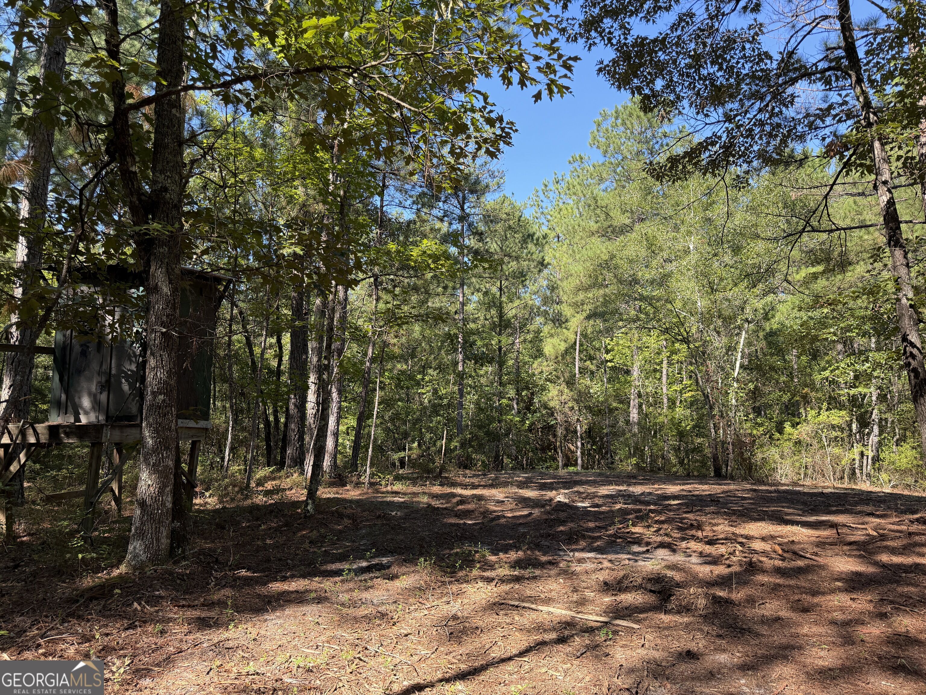 0 Pig Road Bartow, GA 30413 - Photo 38 of 44 Gallery Image 38