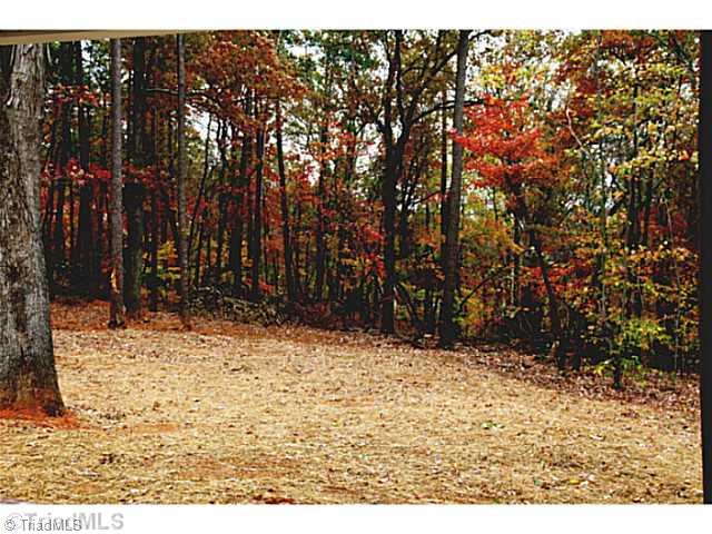 1086 Tuttle Road Rural Hall, NC 27045 - Photo 2 of 11 Yard/Garden. Back yard side view.
