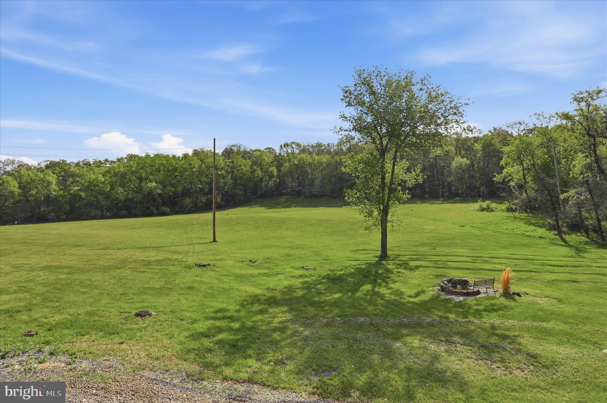 13605 McKenzie Tower Road Southwest Cumberland, MD 21502 - Photo 45 of 63 a view of a field with a tree