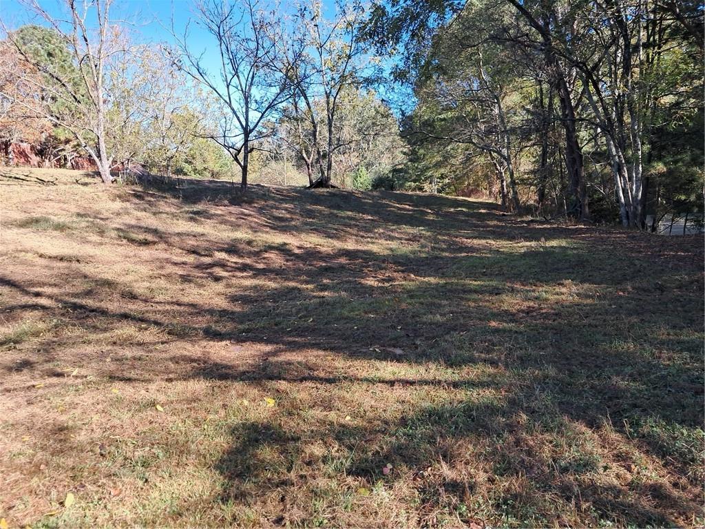 681 Mullinax Road Jasper, GA 30143 - Photo 19 of 36
