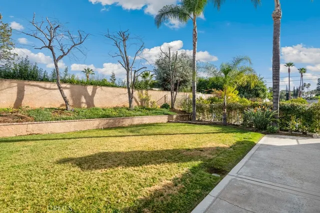 a view of a swimming pool with a lawn chairs under palm trees