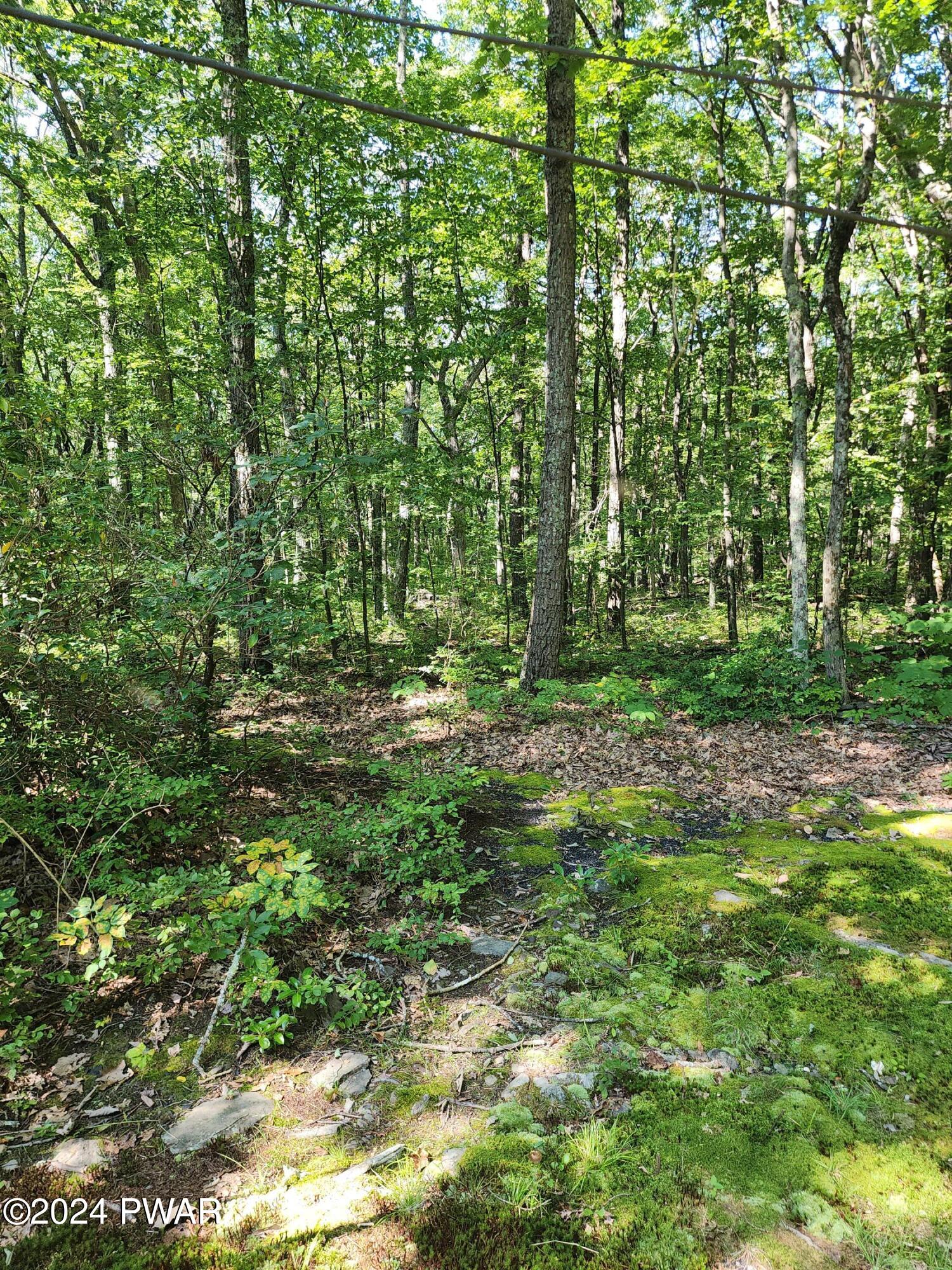 232 White Deer Lake Road Hawley, PA 18428 - Photo 4 of 28