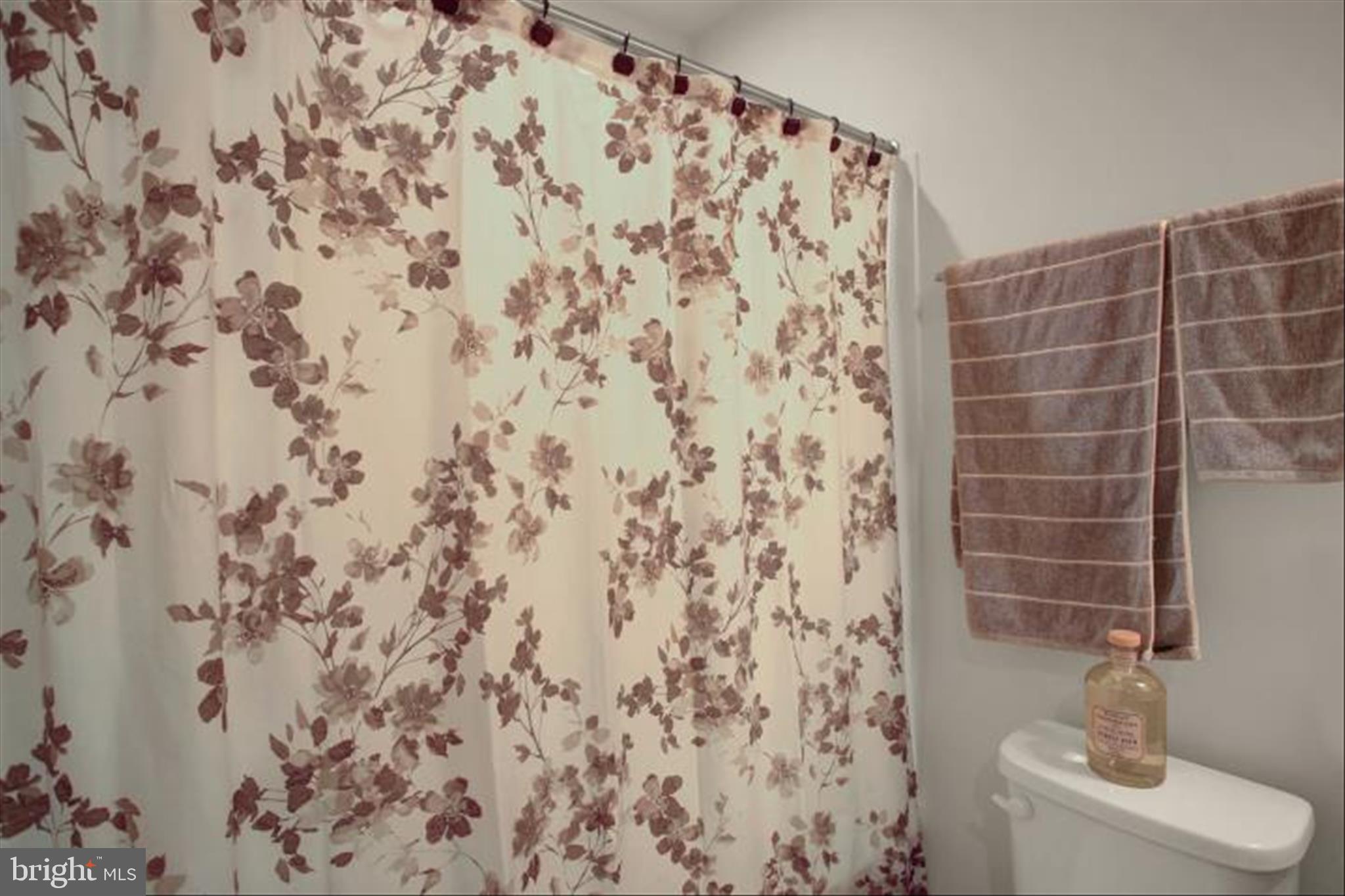 741 Raeann Drive Greencastle, PA 17225 - Photo 21 of 28 Full bath