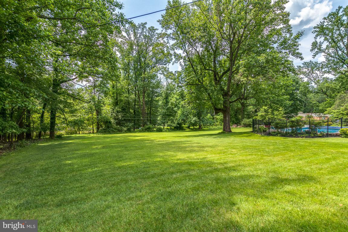 1314 Milldam Road Baltimore, MD 21286 - Photo 32 of 35 Look at this Yard in the summer months!!!
