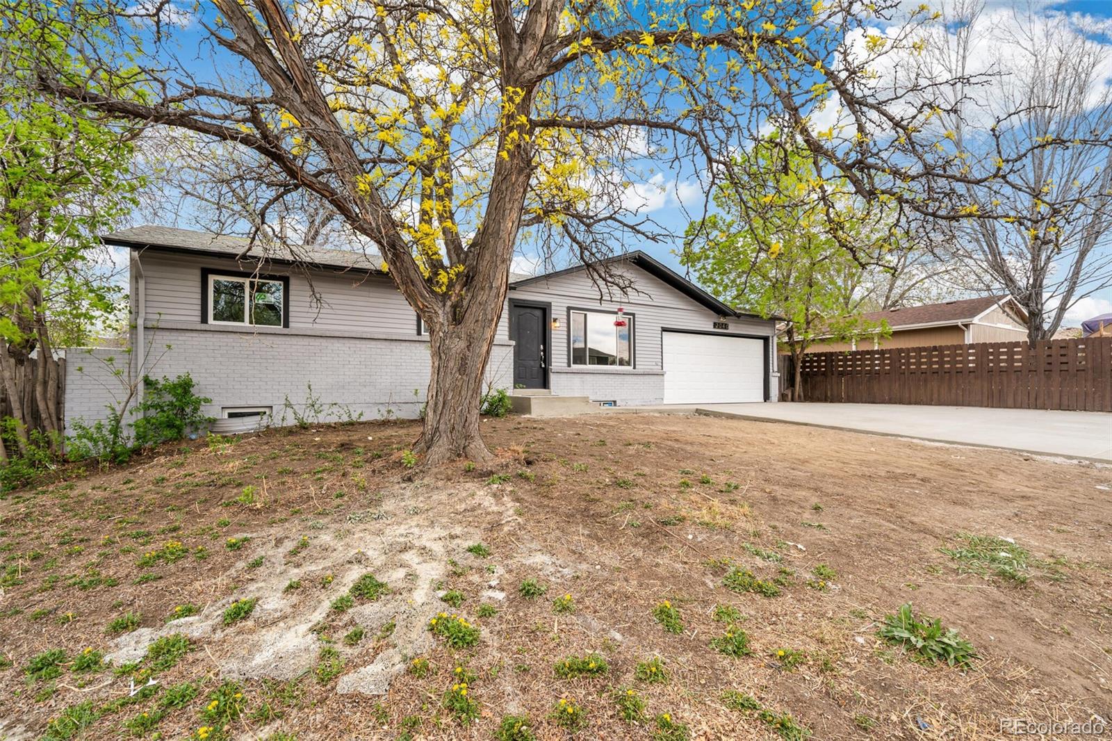 2040 Mable Avenue Denver, CO 80229 - Photo 24 of 25 a house with a tree in front of it