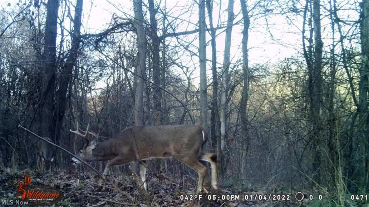 Butterbean Ridge Road Philo, OH 43771 - Photo 11 of 18