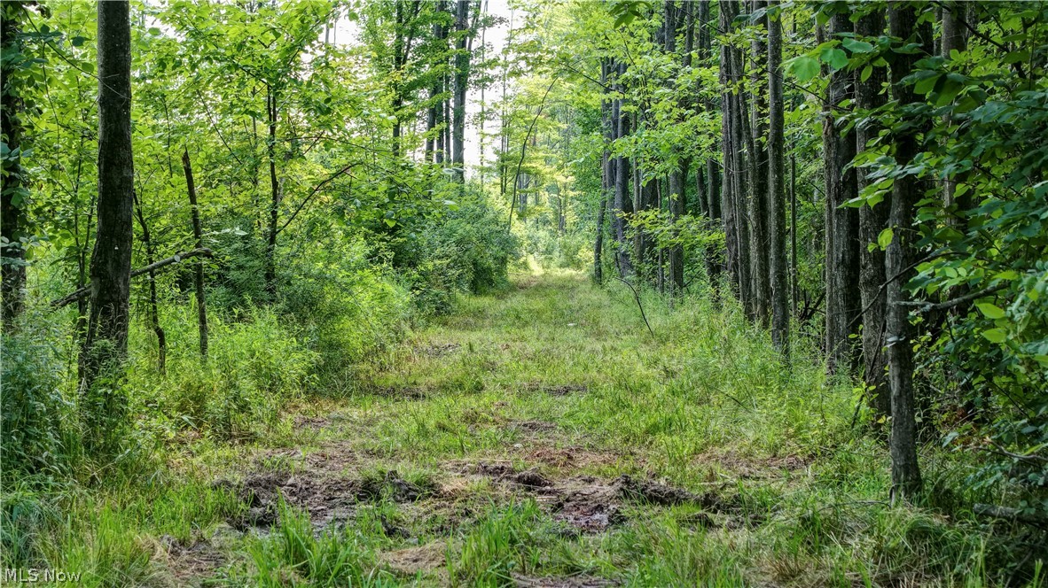 0 Bushnell Campbell Road Kinsman, OH 44428 - Photo 2 of 36 Gallery Image 2