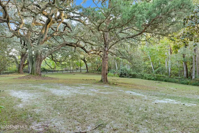 a view of yard with tree s