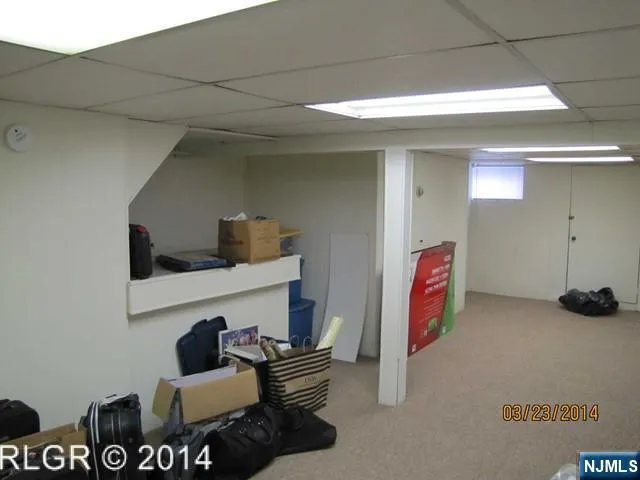 a room with furniture and a potted plant