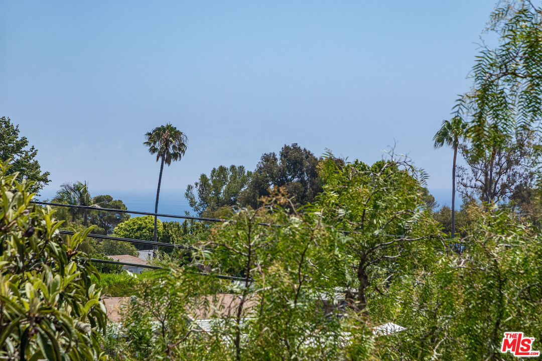 28368 Rey De Copas Lane Malibu, CA 90265 - Photo 21 of 31 a view of a garden