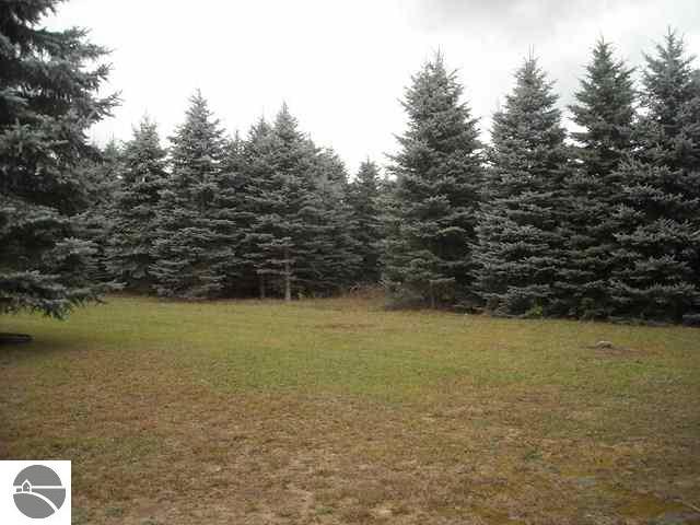 9222 Johnson Road Kaleva, MI 49645 - Photo 6 of 14 1740250-5.JPG