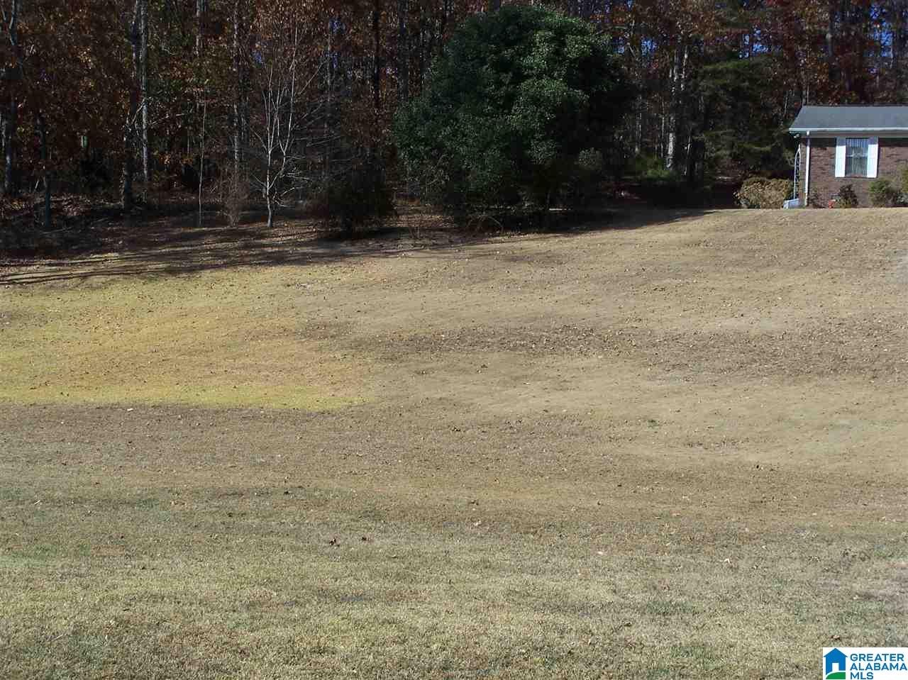 3383 County Road 42 Oneonta, AL 35121 - Photo 17 of 49