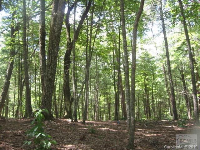 3 Powerhouse Road, Unit 3 Morganton, NC 28655 - Photo 3 of 4 Gallery Image 3