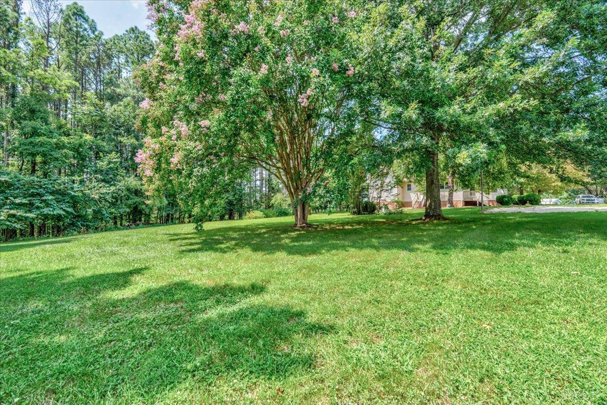 530 Patteson School Road Appomattox, VA 24522 - Photo 40 of 45 a view of grassy field with benches