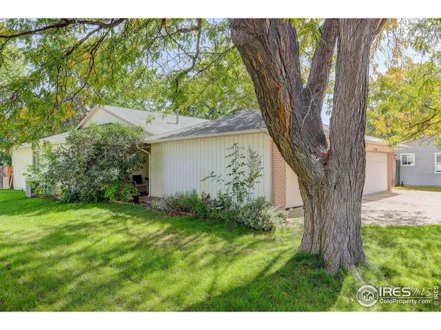 a backyard of a house with plants and large trees