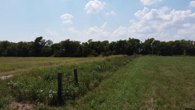 a view of a lush green field