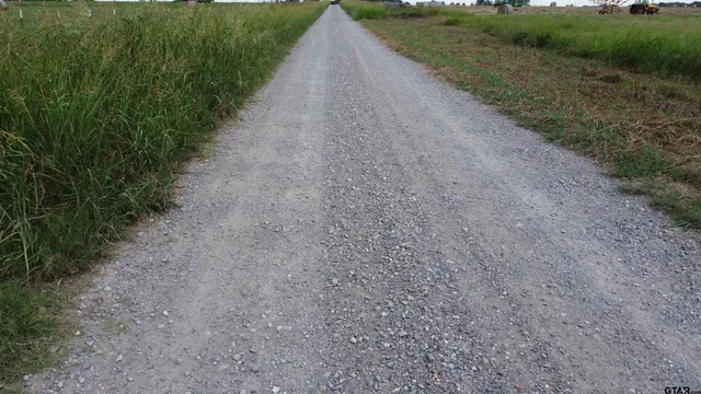 a view of a garden with a lake