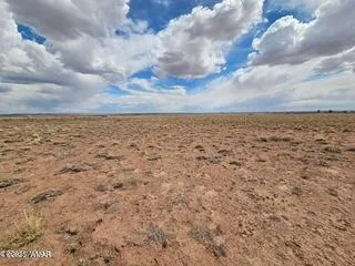 $11,900 | Tbd Tbd Sheri 105-50-035 Road, Holbrook, AZ 86025