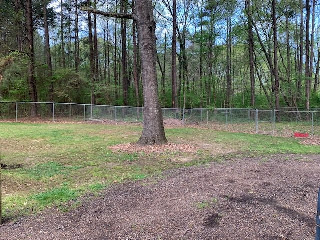 207 Ridge Park Cove Raymond, MS 39154 - Photo 2 of 2 Photo 2