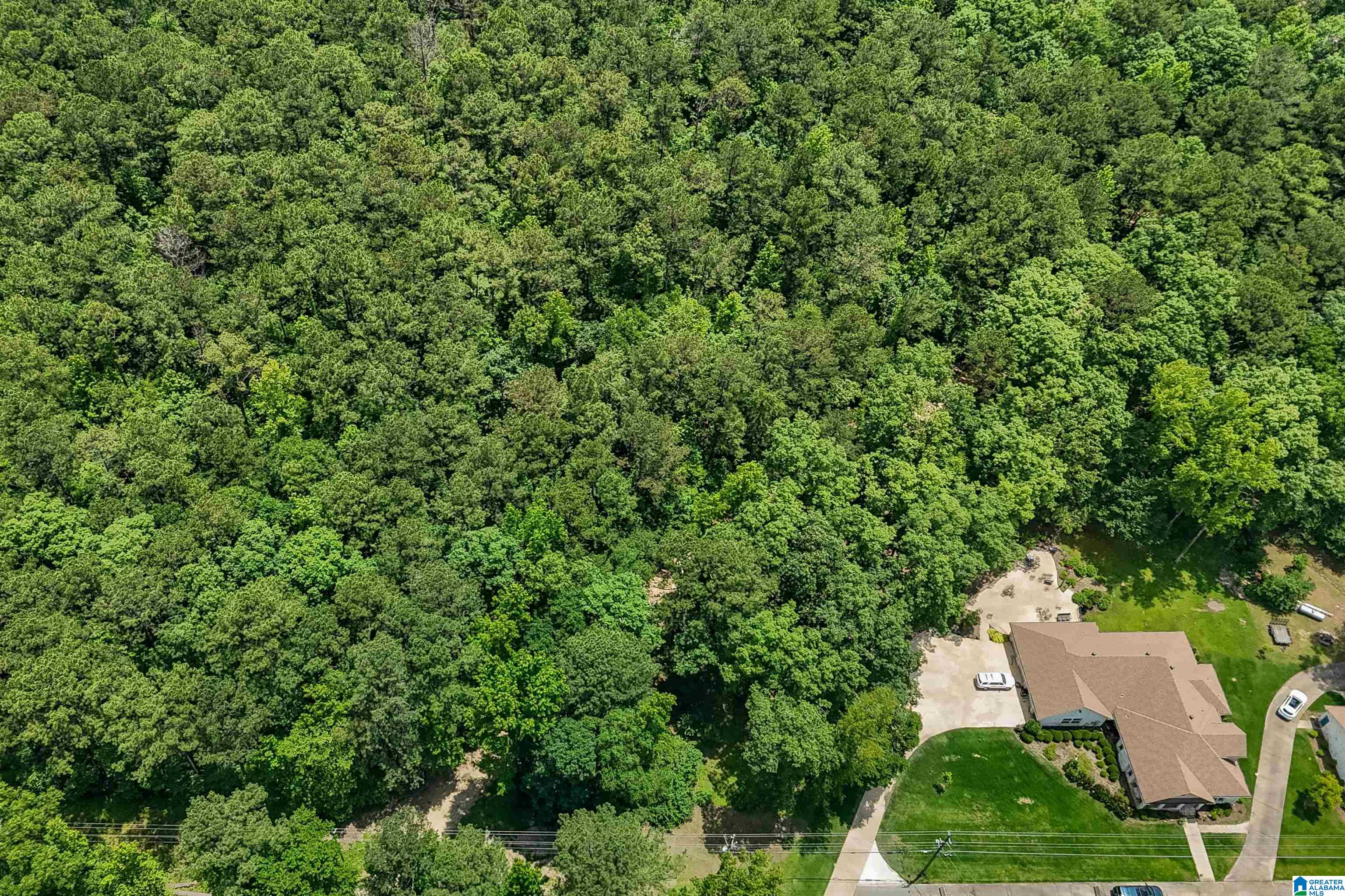 0 Red Oak Circle Helena, AL 35080 - Photo 6 of 21