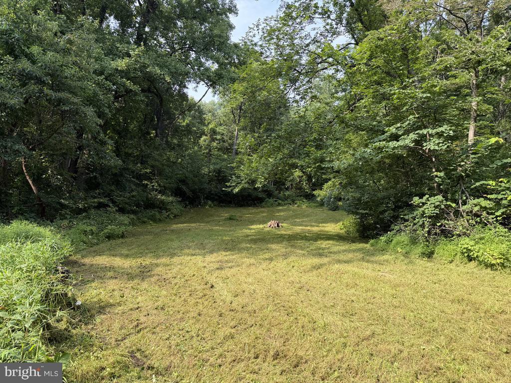 Jewell Hollow Road Luray, VA 22835 - Photo 14 of 23 Mowed trails throughout the property