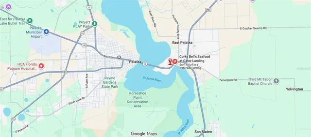 a view of a park with large trees