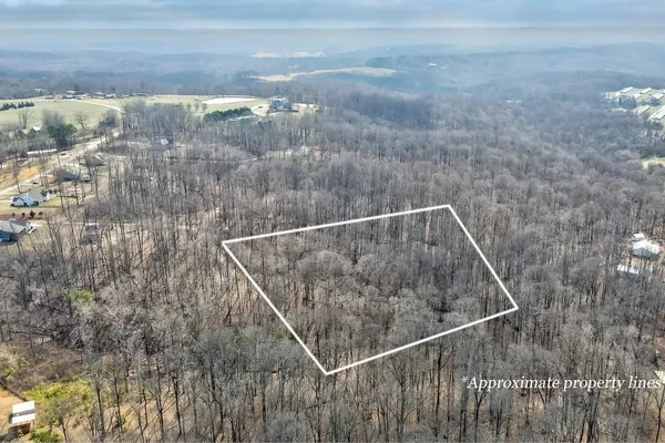 $49,999 | 0 Scales Creek Road, Homer, GA 30547