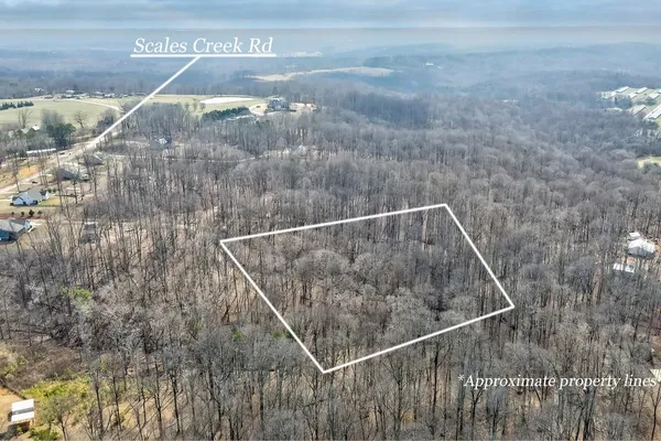 $49,999 | 0 Scales Creek Road, Homer, GA 30547