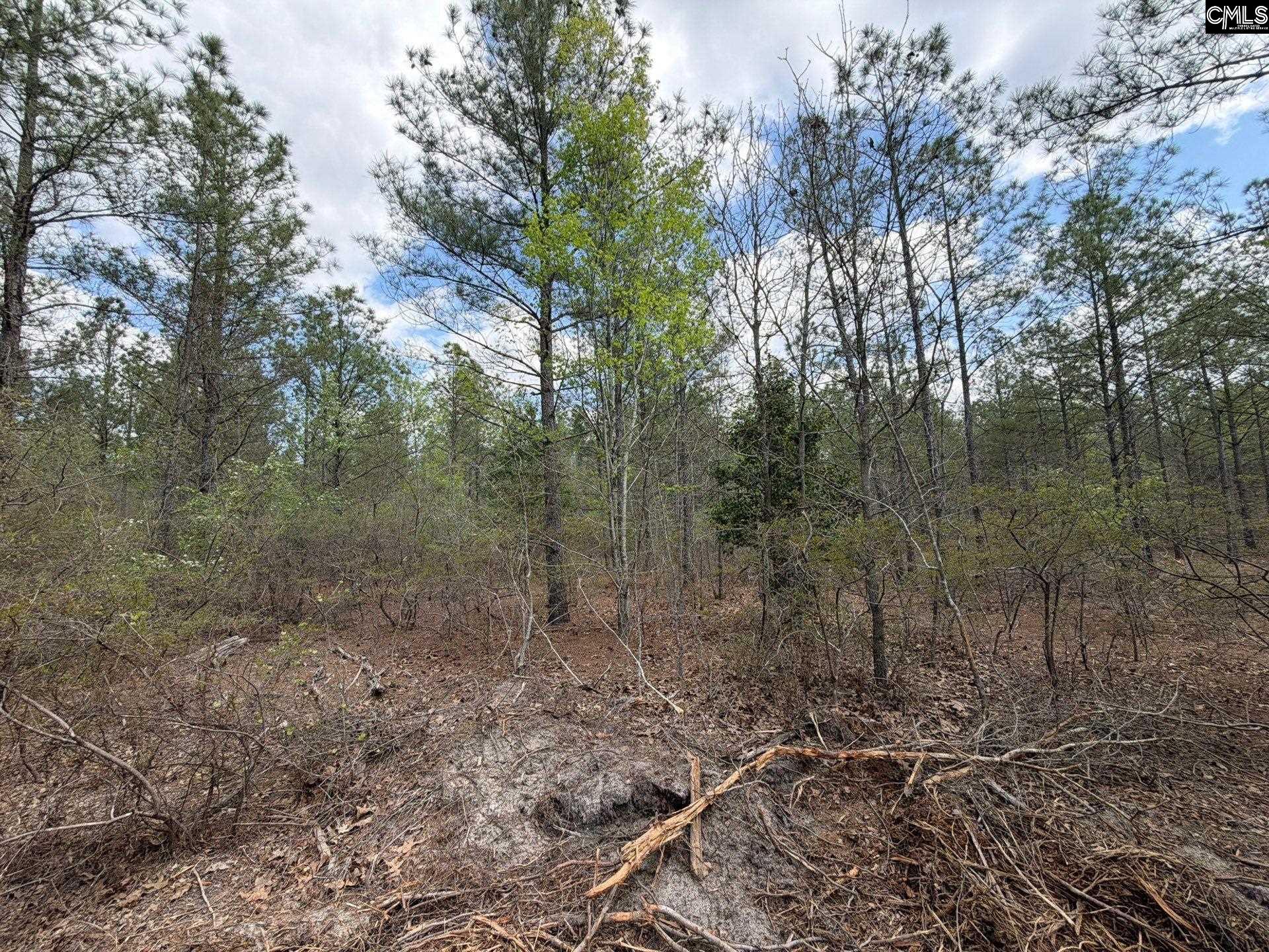 4 Mt Calvary Rd Ridge Spring Ridge Spring, SC 29129 - Photo 10 of 40
