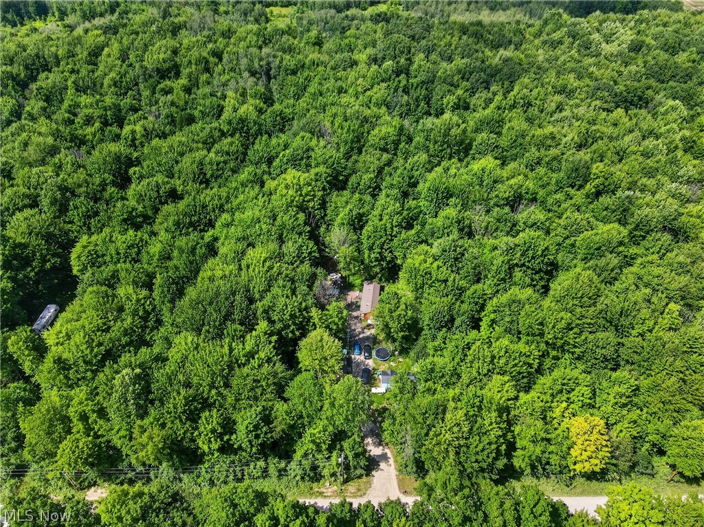 6737 Beckwith Road Pierpont, OH 44082 - Photo 12 of 37