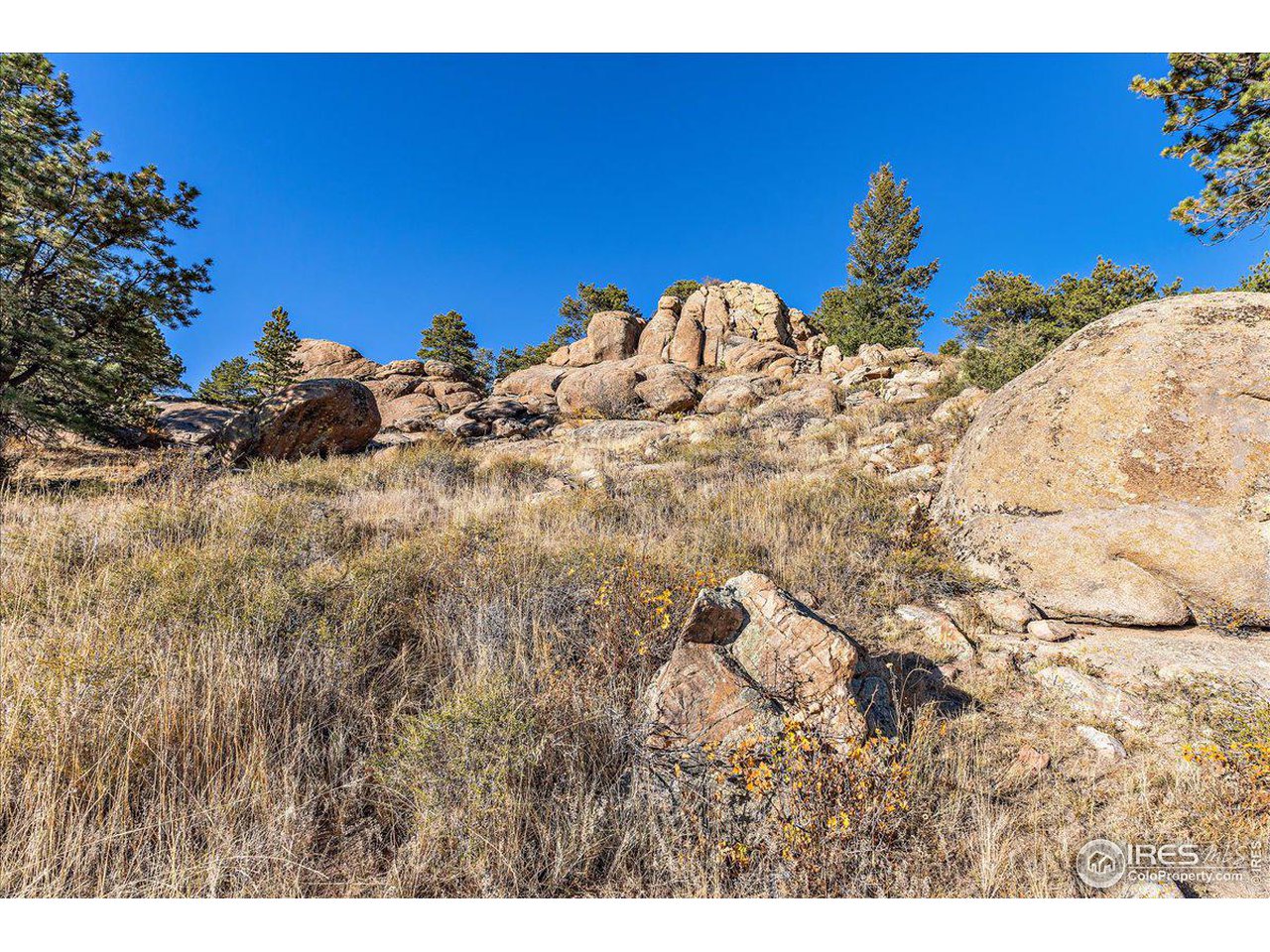0 West County Road Livermore, CO 80536 - Photo 8 of 19 Gallery Image 8