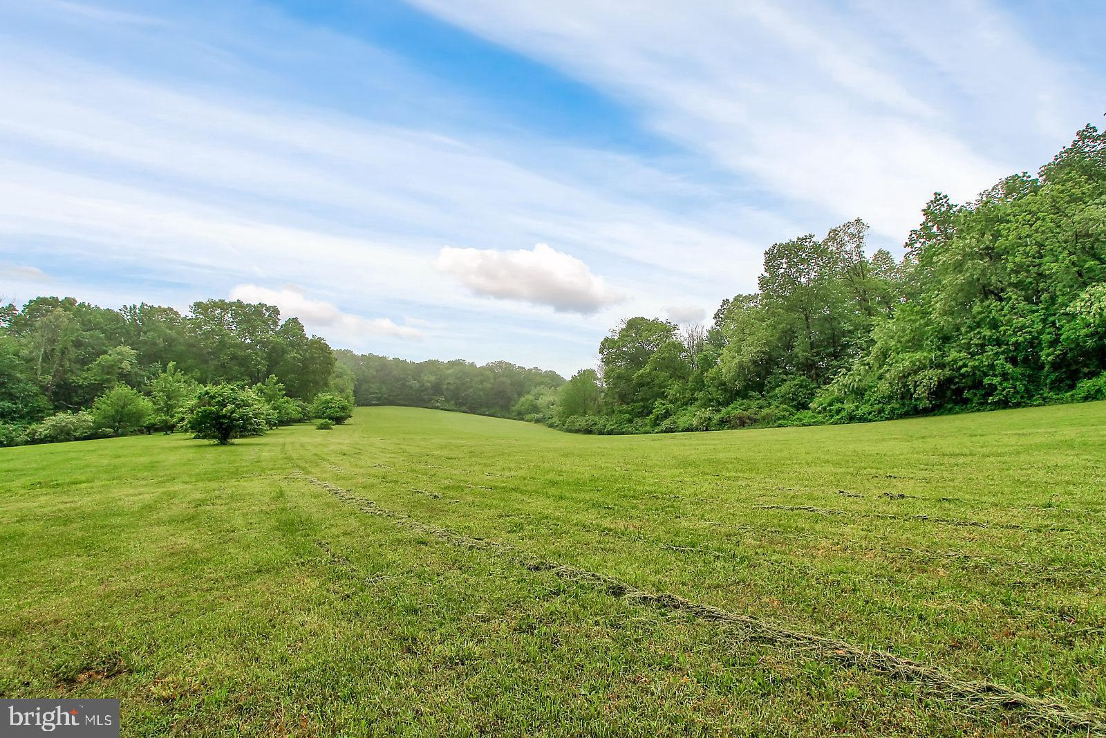 4030 Back Woods Road Westminster, MD 21158 - Photo 8 of 43 Gallery Image 8