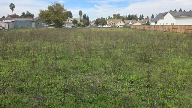 a view of a backyard with potted plants